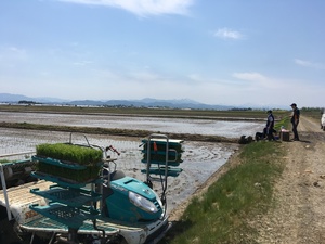 20170512-1.JPG
